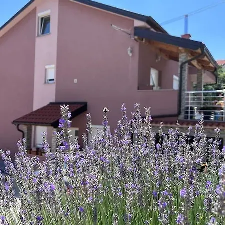 Apartment Mehanovic *